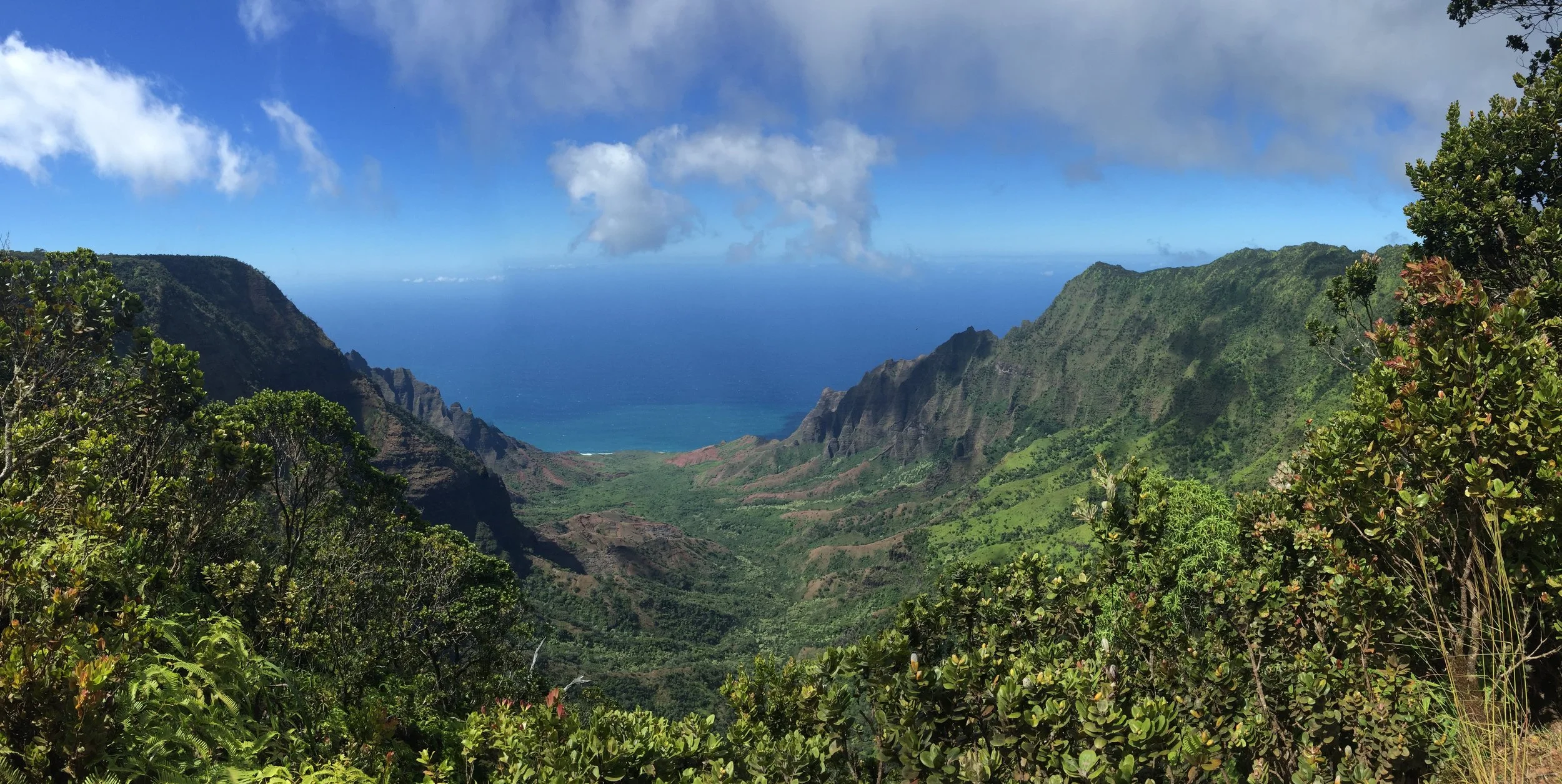 Kauai 13.jpg