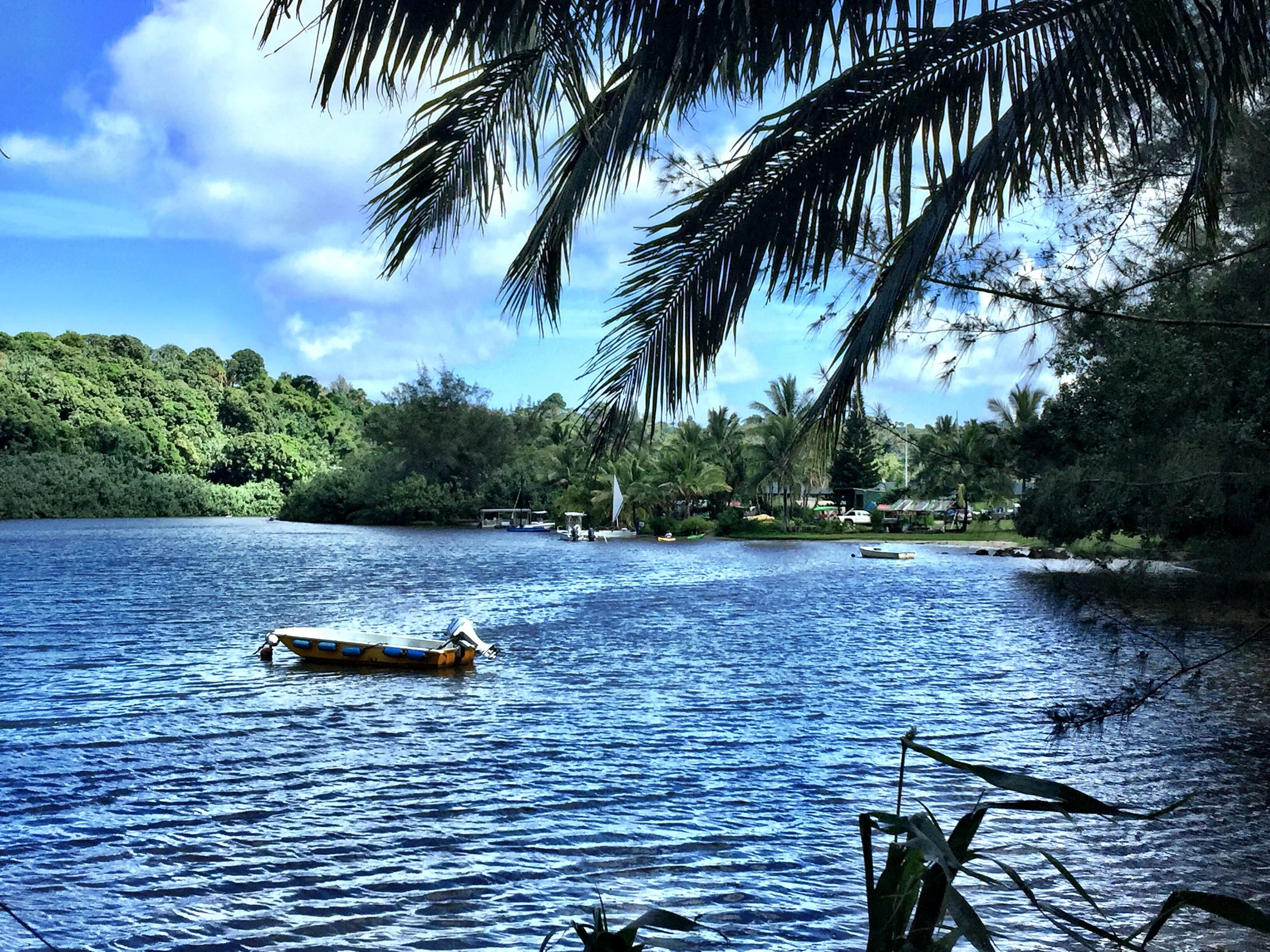 Kauai 21.jpg