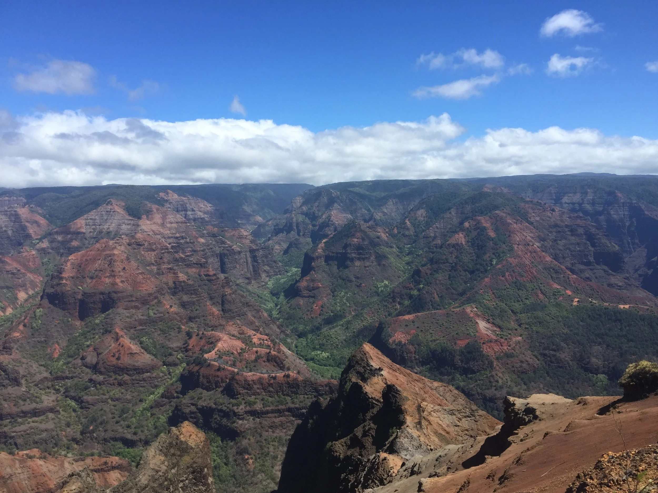 Kauai 25.jpg