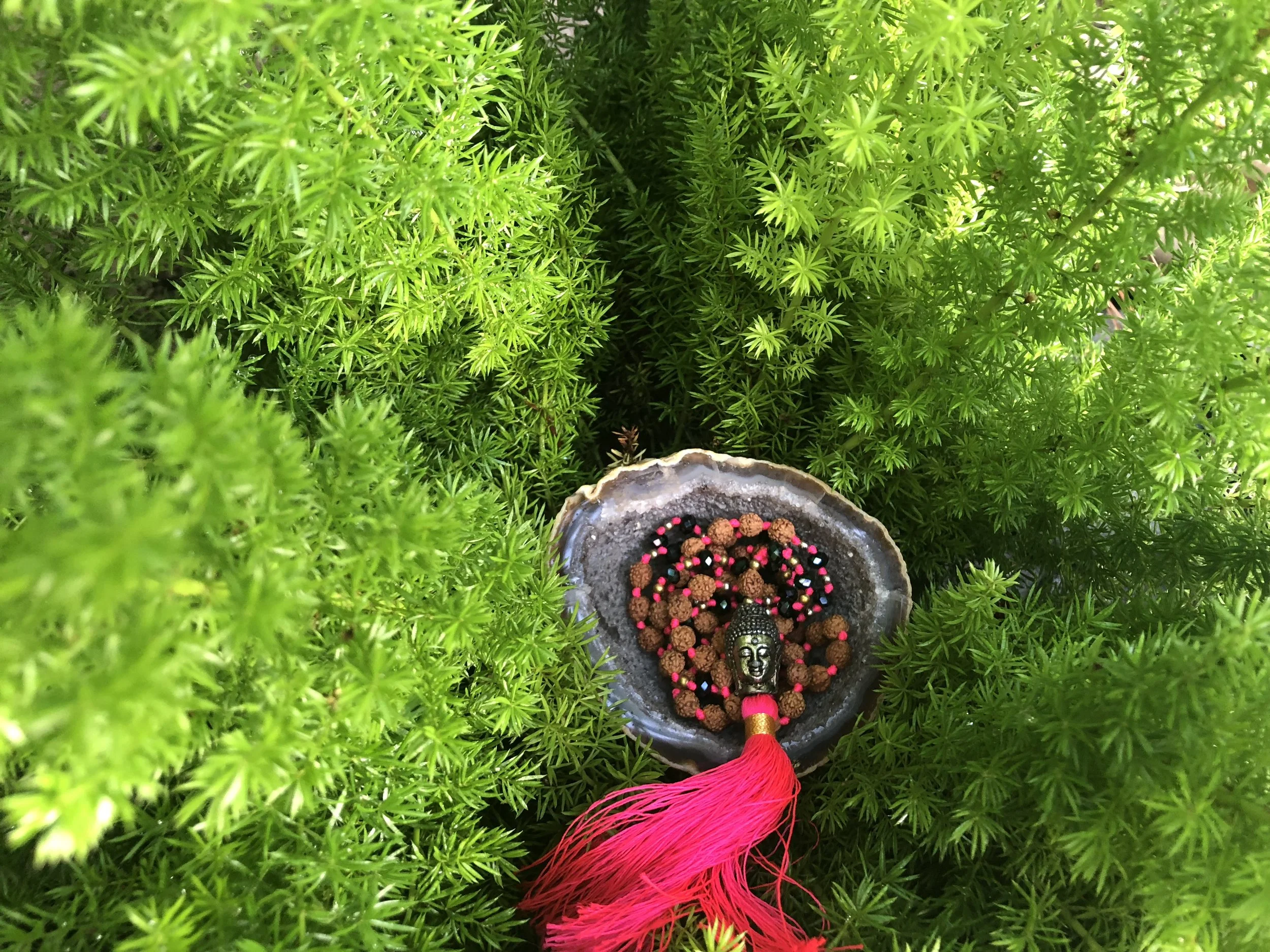 Meditation the new wonder drug