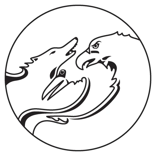 TBC-Logo no background.jpg