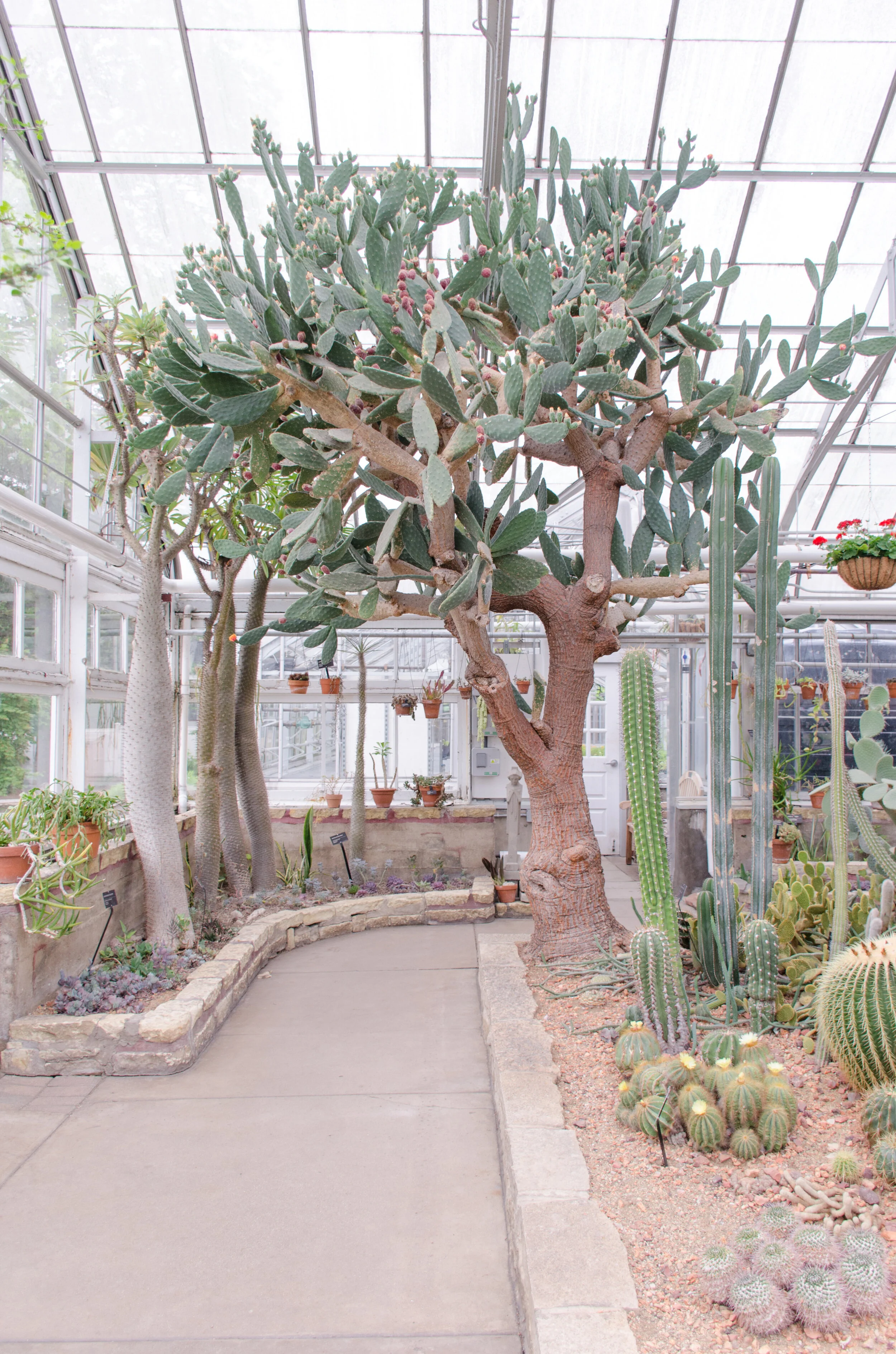 Intimate Oak Park Conservatory Greenhouse Wedding captured by K. Marie Studios. Head to CHItheeWED.com for more wedding ideas!