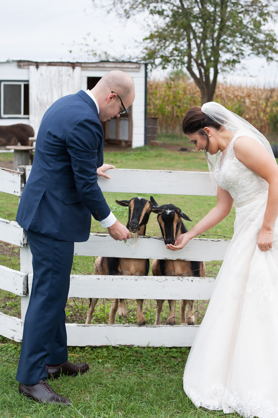 Fall Heritage Prairie Farm Wedding captured by Elite Photo featured on CHI thee WED