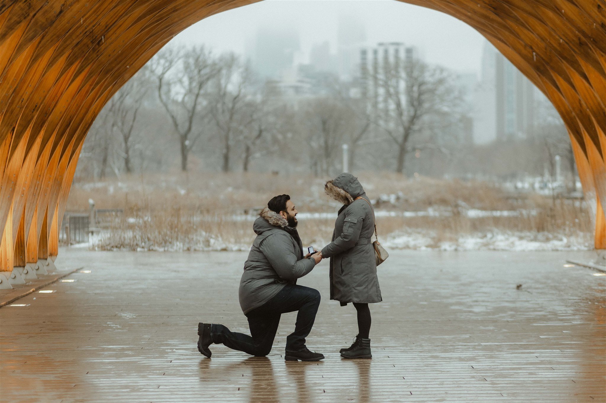 Romantic Snowy Proposal at Lincoln Park Honeycomb Structure | The Gernands Photography
