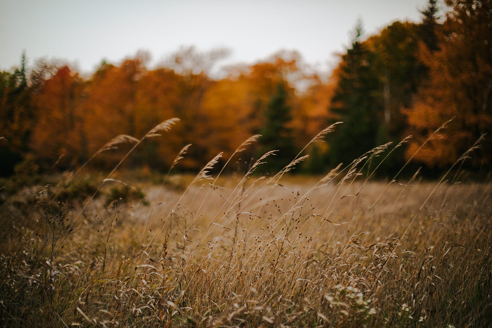 Newport State Park Engagement Session | O &amp; B Photo Co.