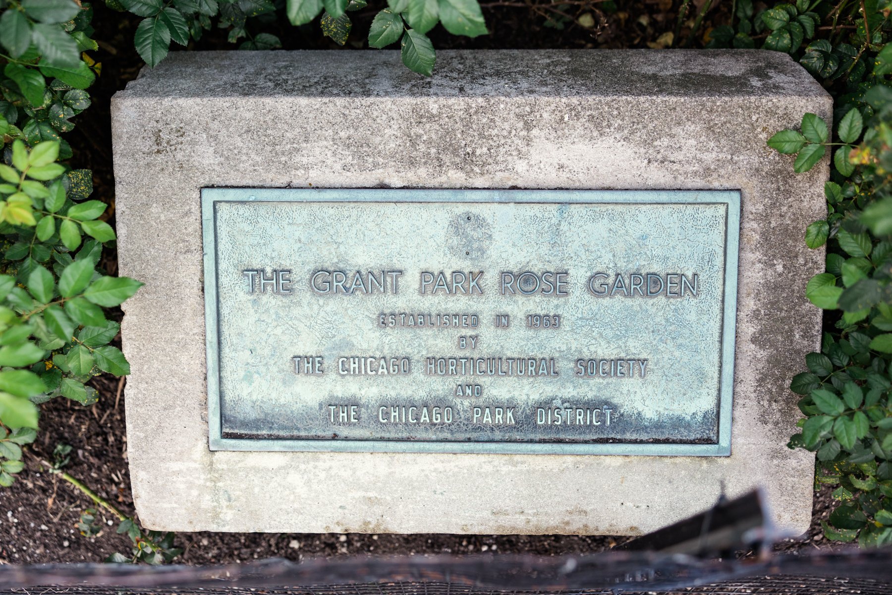 Grant-Park-Rose-Garden-elopement-by-Emma-Mullins-Photography-51.jpg