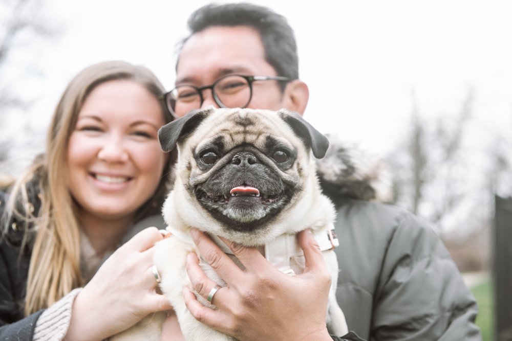 Mei Lin Barral Photography_Garfield-Park-Conservatory-couple-session-with-pug.jpg