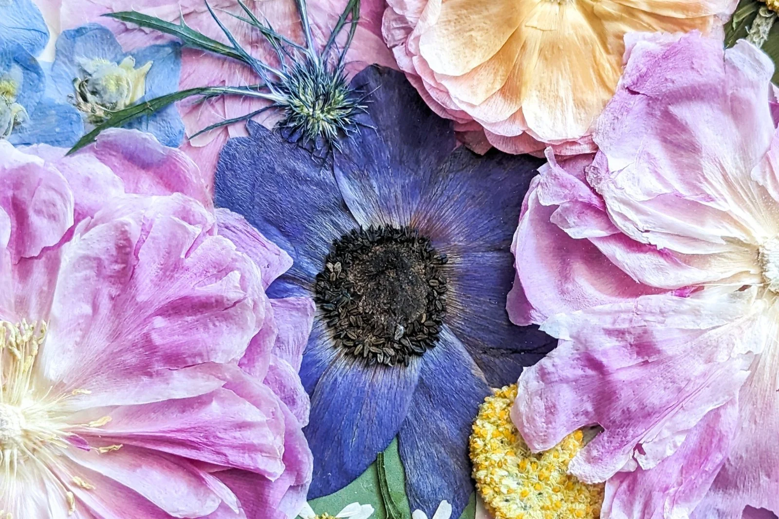 BloomAndMake-flower-preservation-16.jpg