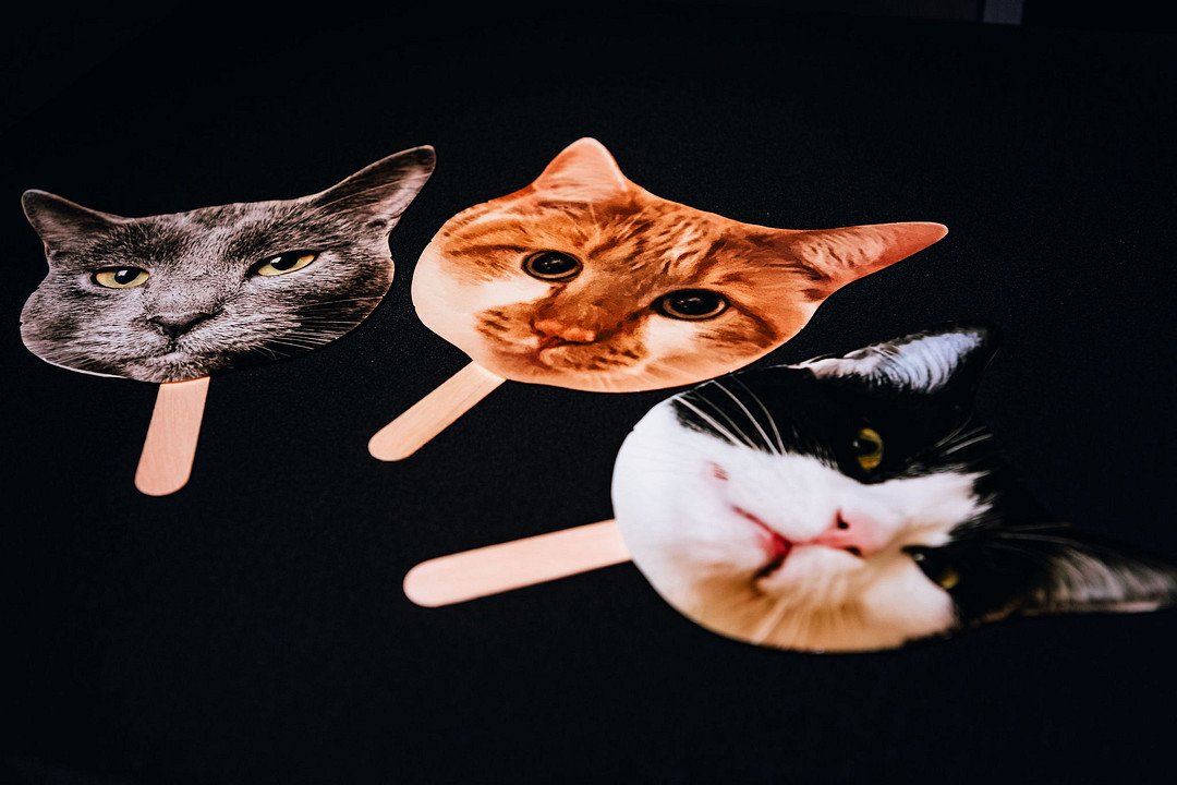 Chhokar _Cvengros_MAHA STUDIOS_Chicago-wedding-photographers-Maha-Studios-Erica-Ben-Reception-153_low.JPG