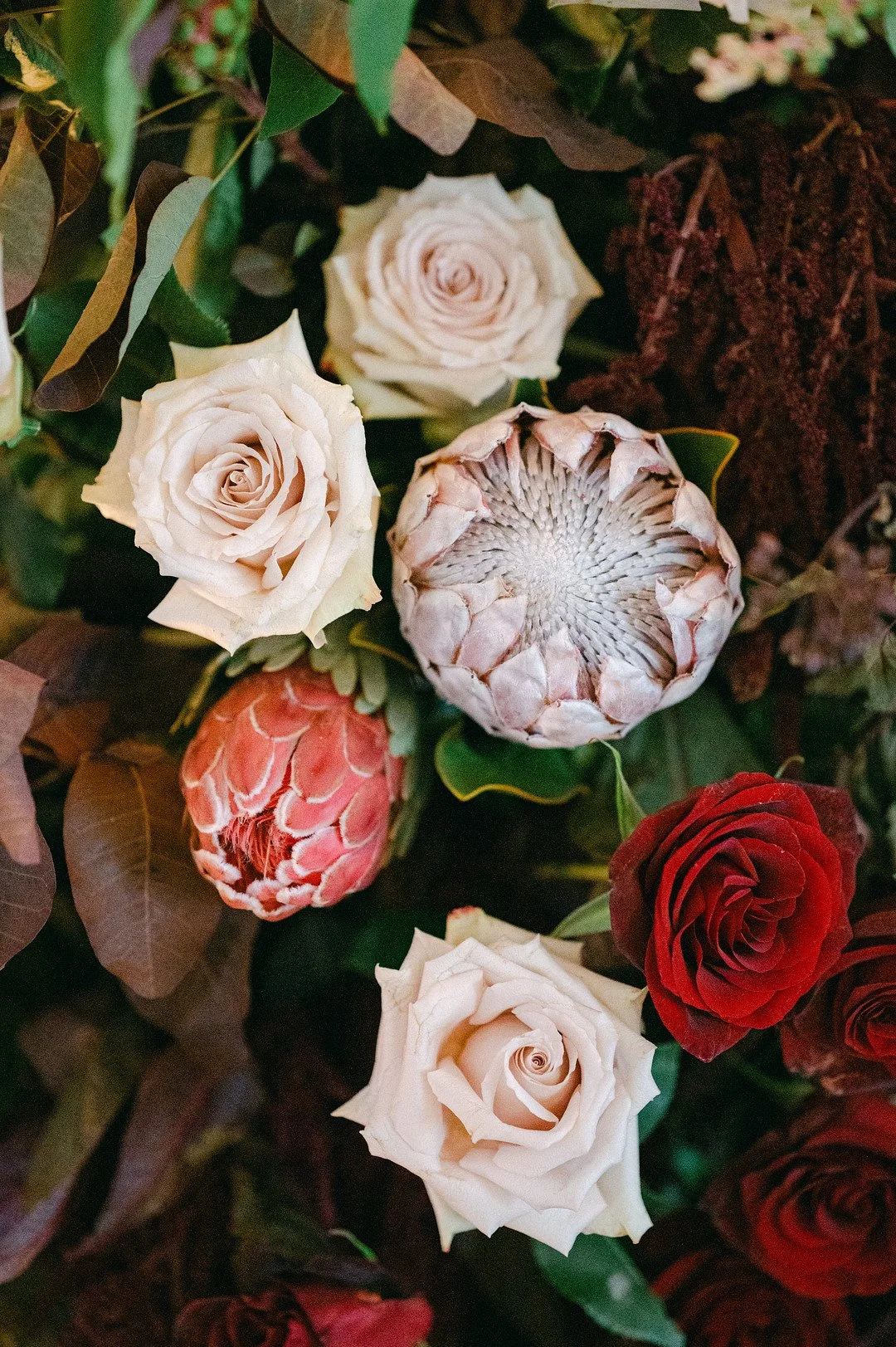 Owens_Owens_Tawny Ballard Photography_Sahsha-Stephen-wedding-197_low.jpg