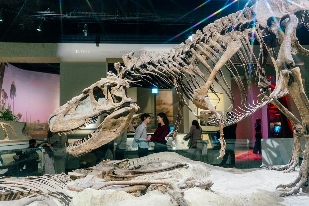 Atkinson_Treidler_Eliana Melmed Photography_LeahAnna-37_low.jpg