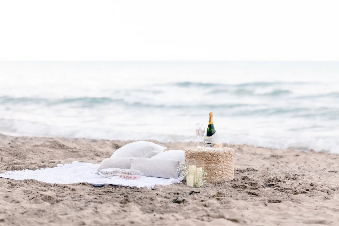 Tsangeos_Manion_Winterlyn Photography_Chicago Proposal_-5_low.JPG