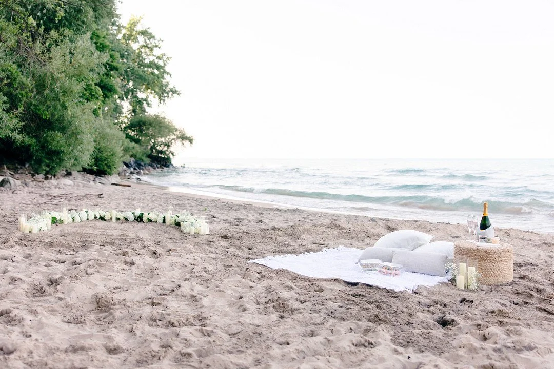 Tsangeos_Manion_Winterlyn Photography_Chicago Proposal_-11_low.JPG