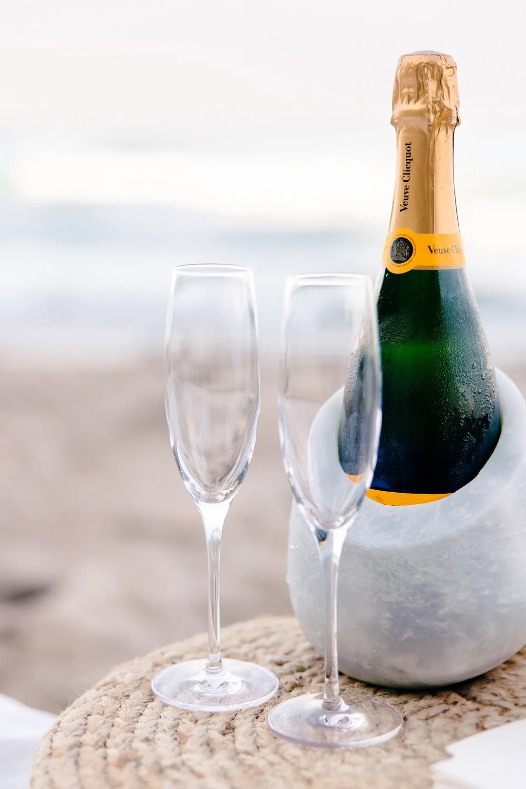 Tsangeos_Manion_Winterlyn Photography_Chicago Proposal_-2_low.JPG