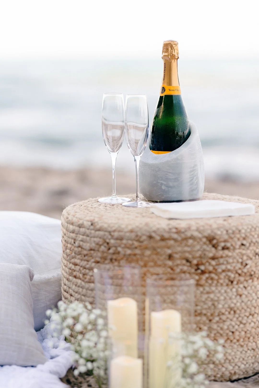 Tsangeos_Manion_Winterlyn Photography_Chicago Proposal_-9_low.JPG