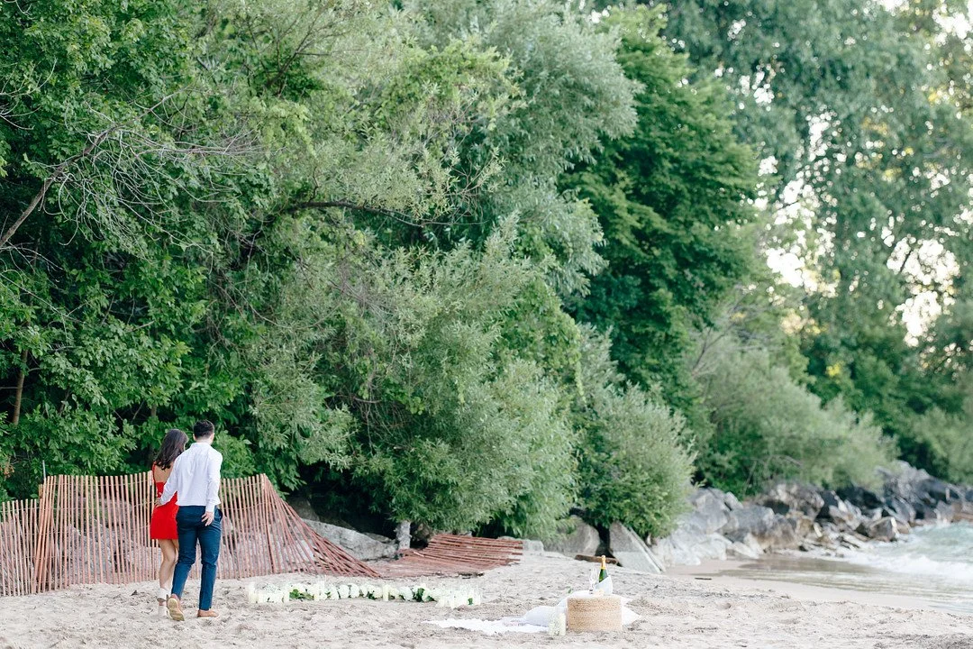 Tsangeos_Manion_Winterlyn Photography_Chicago Proposal_-18_low.JPG