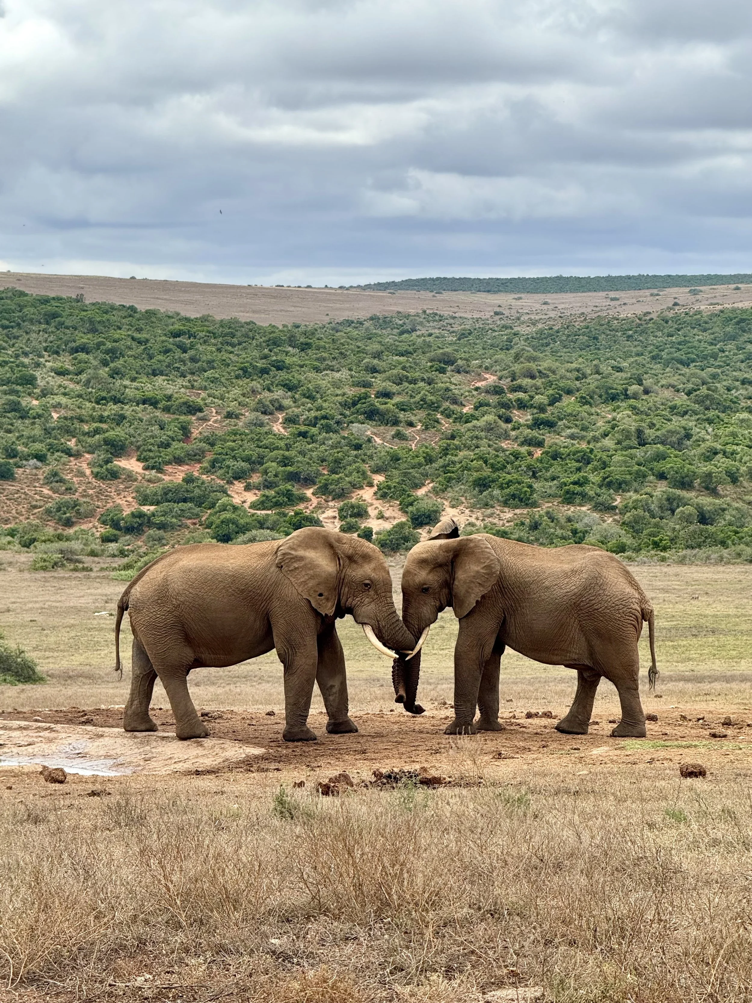 Travel Geek Jess (3).jpg