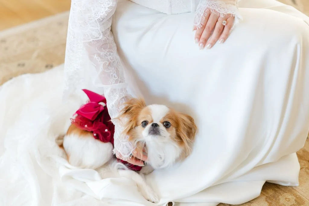 Colvin_House_Wedding-106.jpg