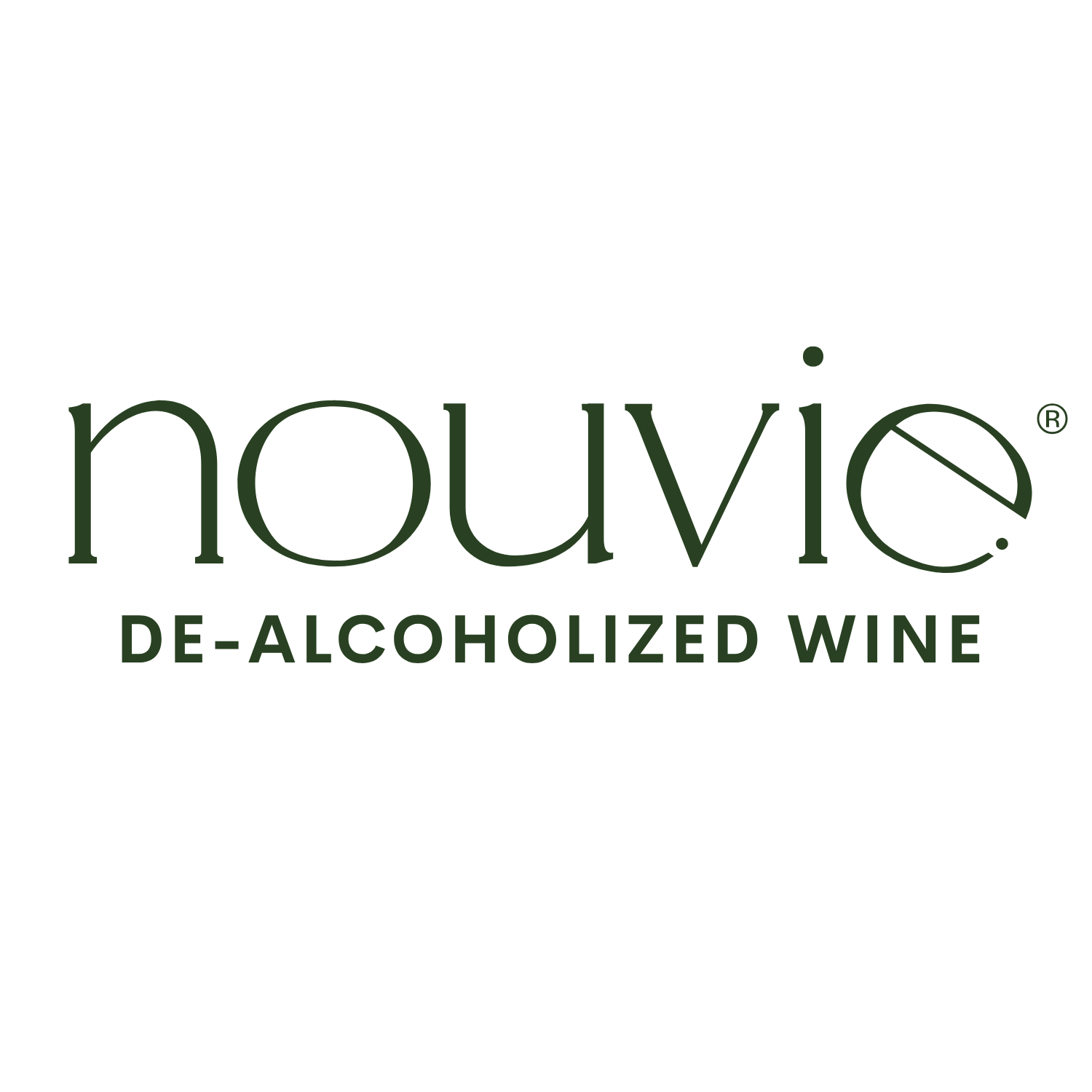 Nouvie Logo.png