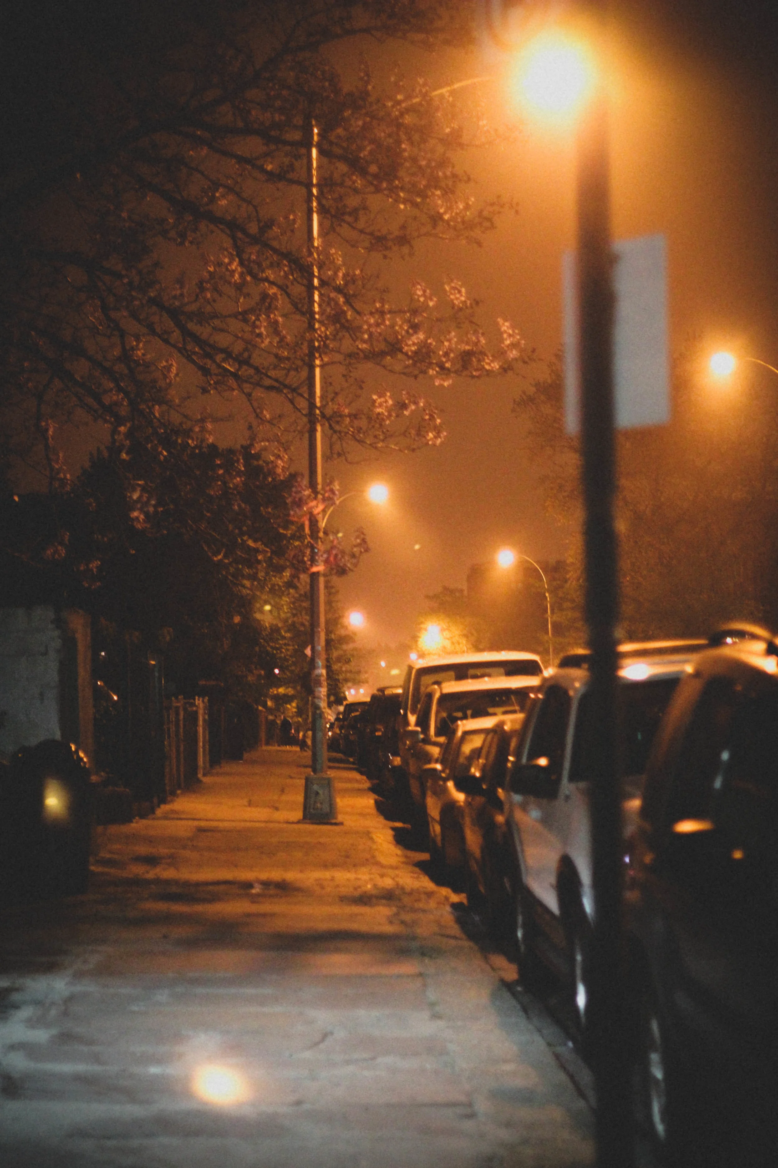Brooklyn, 2015