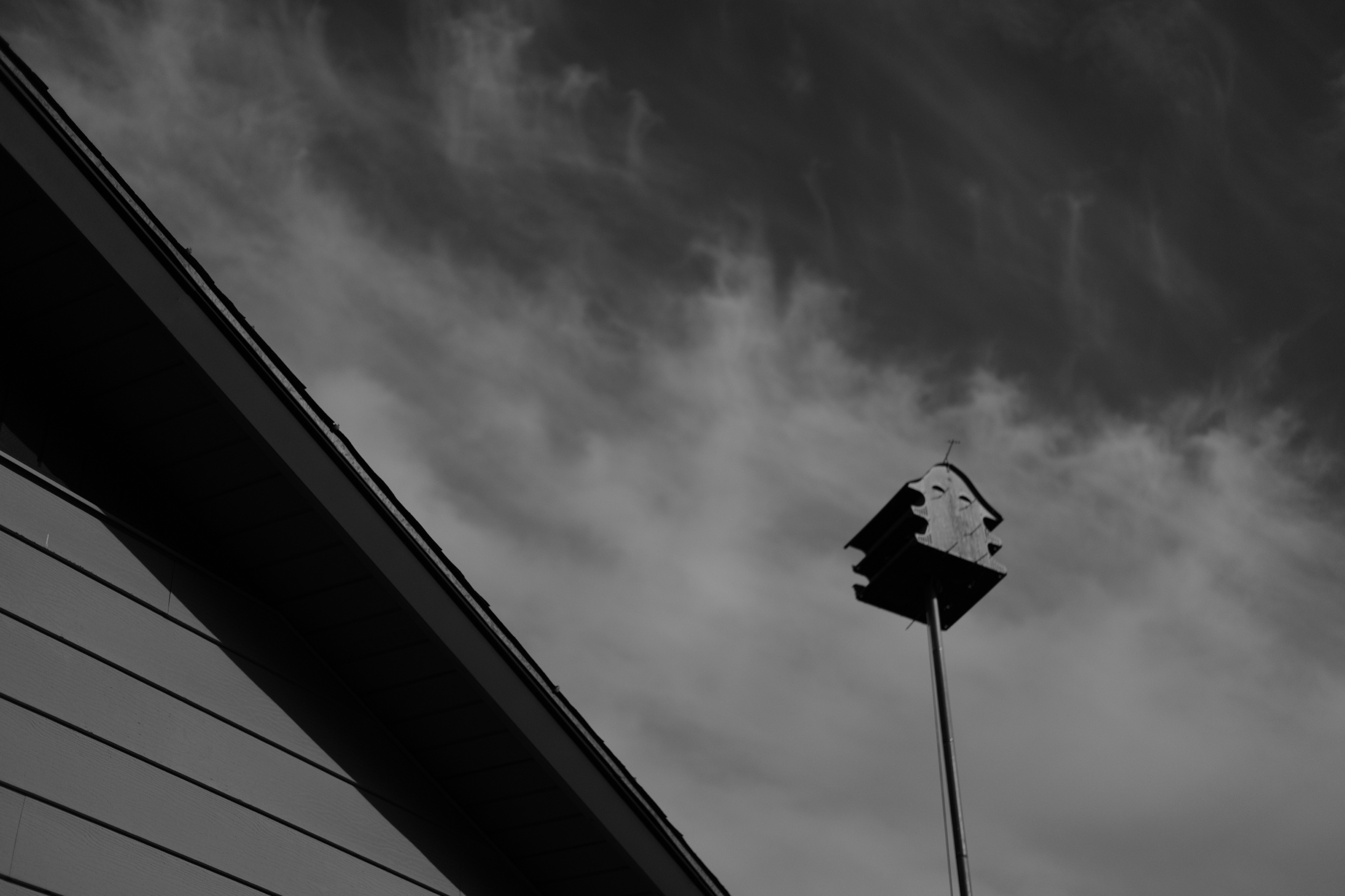 79BE2C7B-C251-4069-9C25-FB46F5E2A853-20523-00000A668A590B9C.jpeg