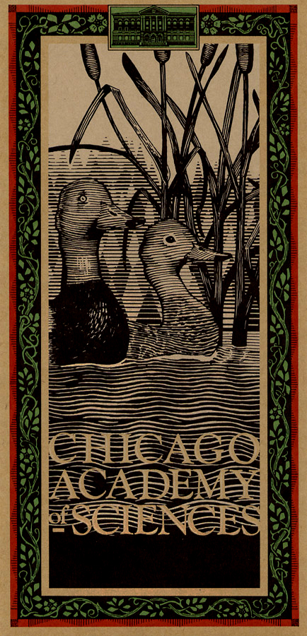 Gift packaging label - pen & ink Part of a series for a natural history museum featuring plants and animals indigenous to the midwestern states. These images were printed on kraft paper labels and applied to gift boxes and bags.