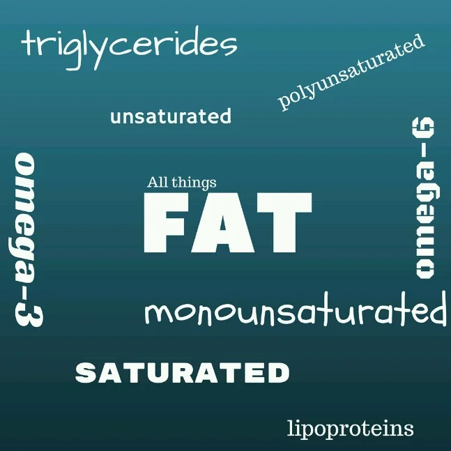 All About the Fat