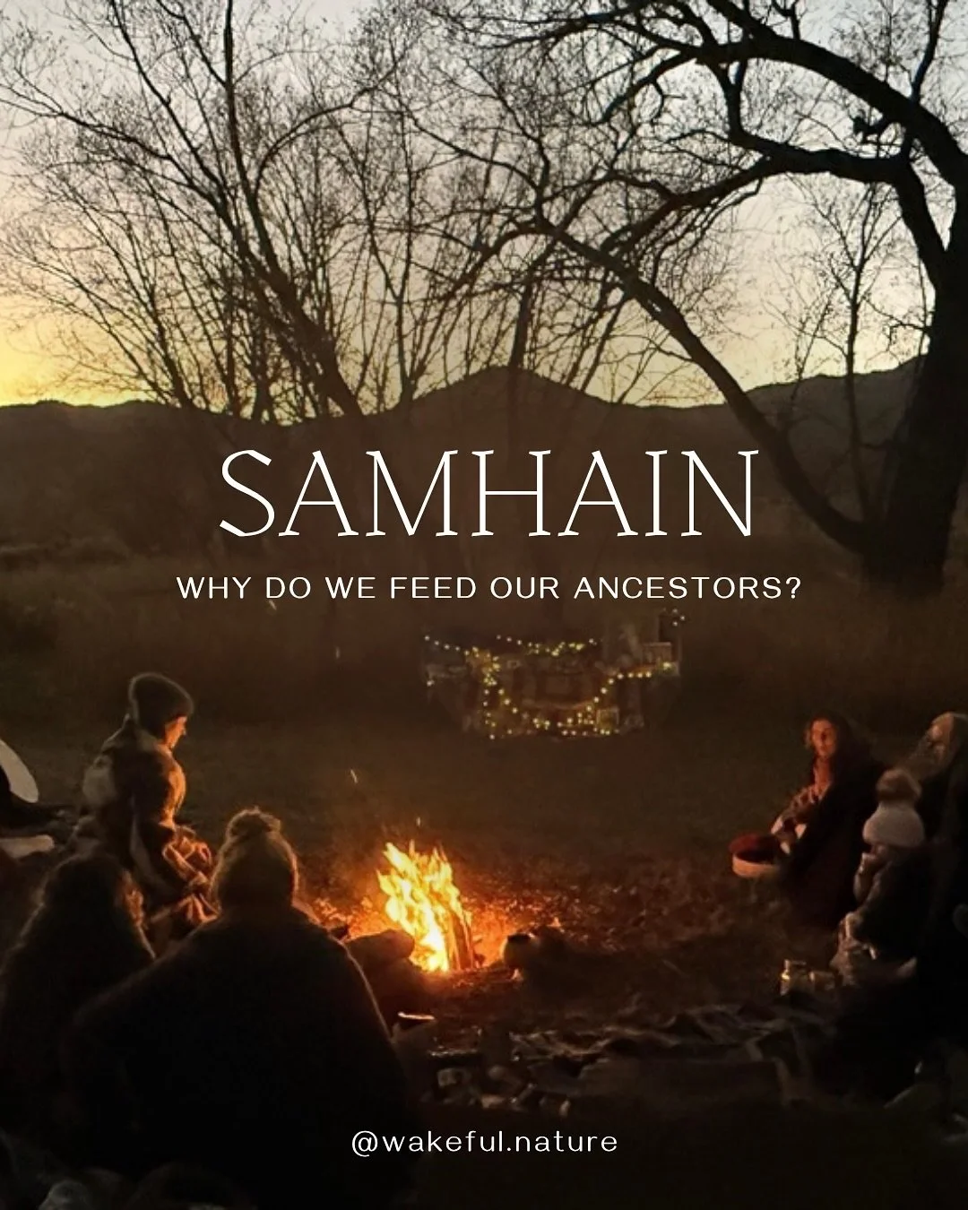 There&rsquo;s a reason every intact culture paused this time of year&hellip;when the darkness grows, when the soil hardens&hellip;

In the Northern Hemisphere they say the veil thins.

And here we are, at Solar Samhain, when the summer ends, the harv