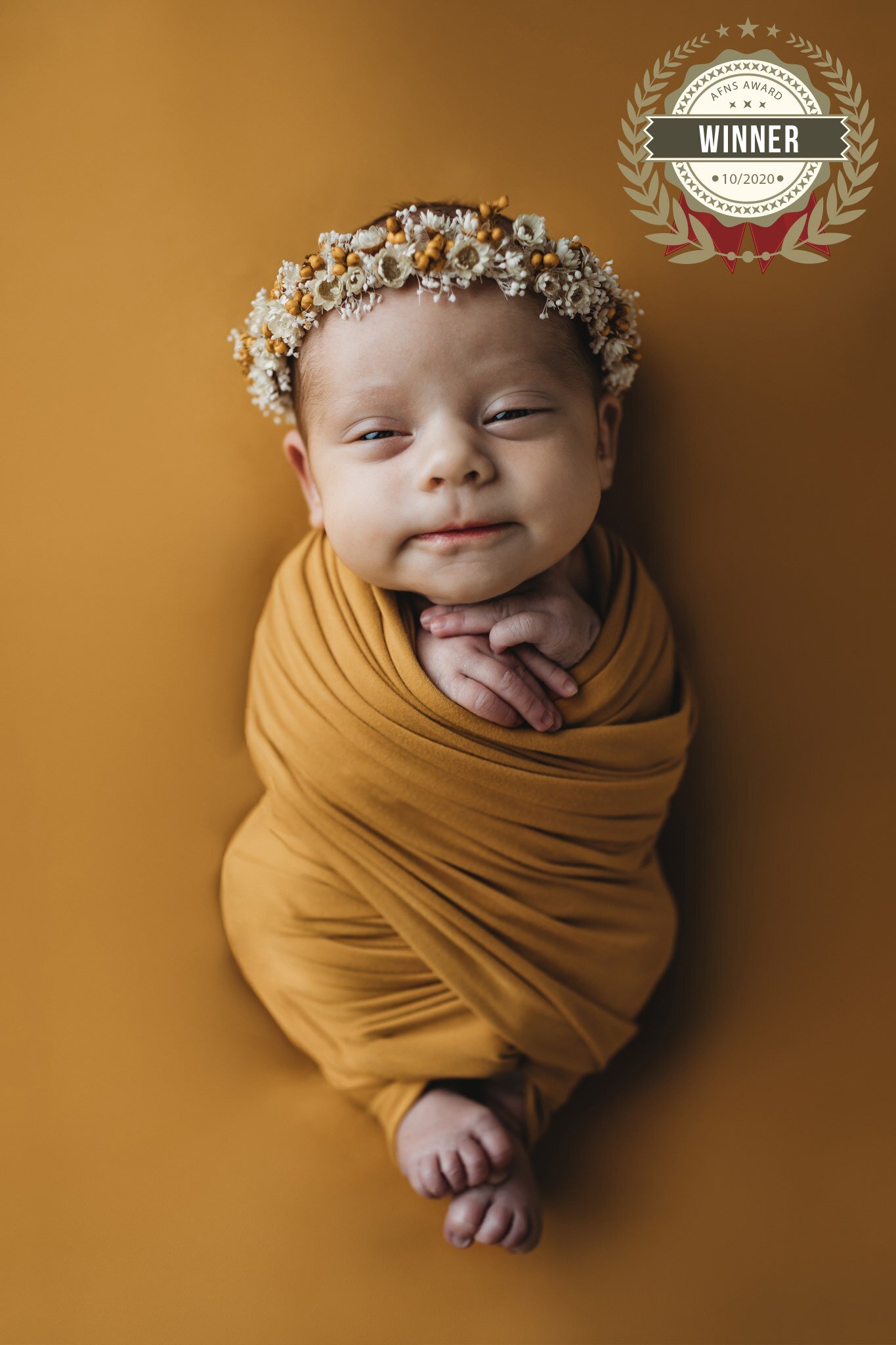 Austin-MN-Albert-Lea-MN-Rochester-MN-Newborn-Photographer-Photography-Modern-Best-Award-Winning