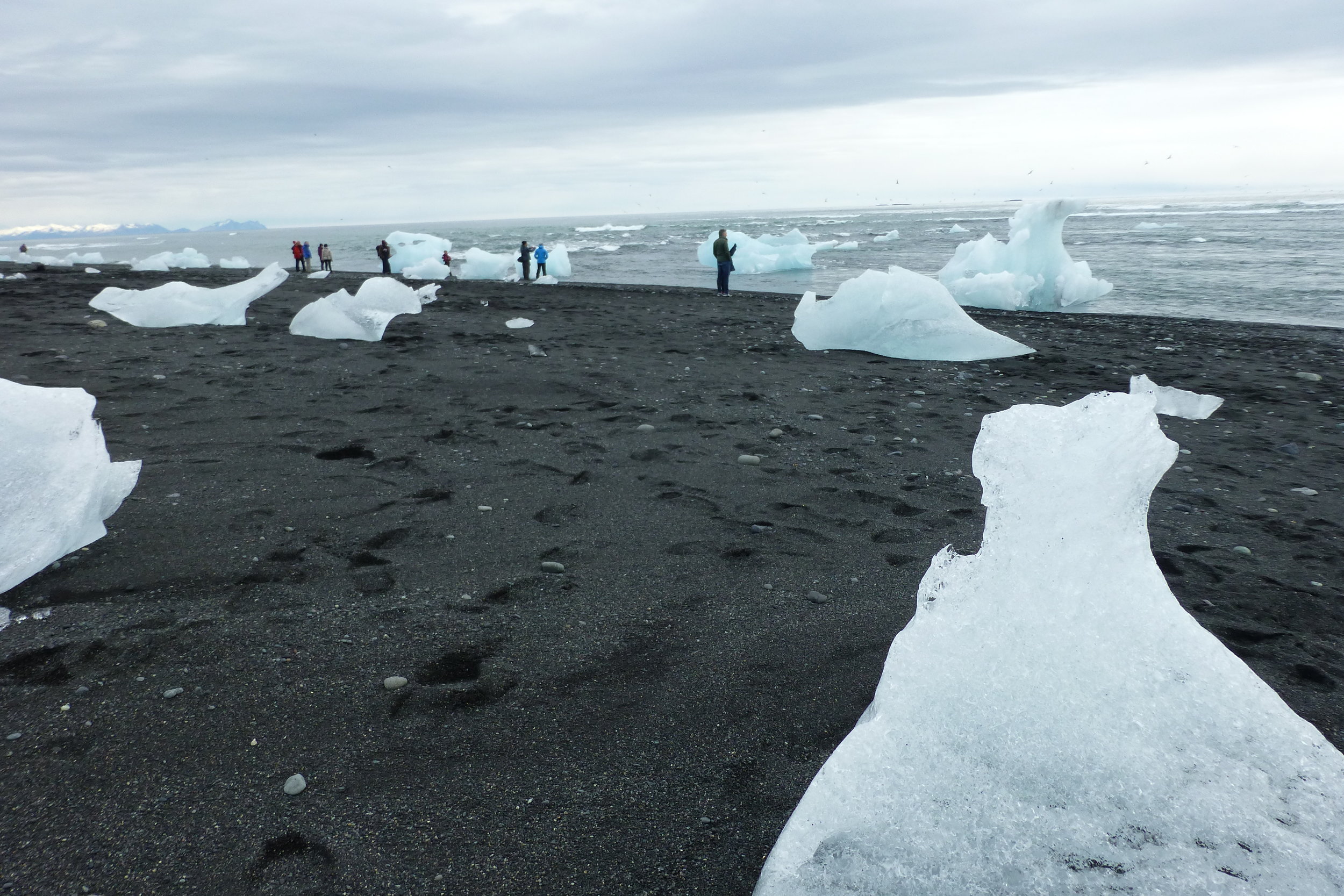 Icebergs on Black beach near Hofn, Iceland