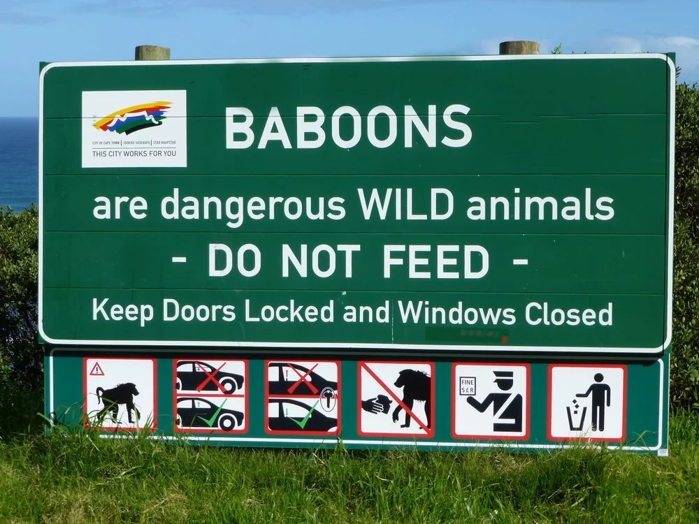These road signs are only found in Africa