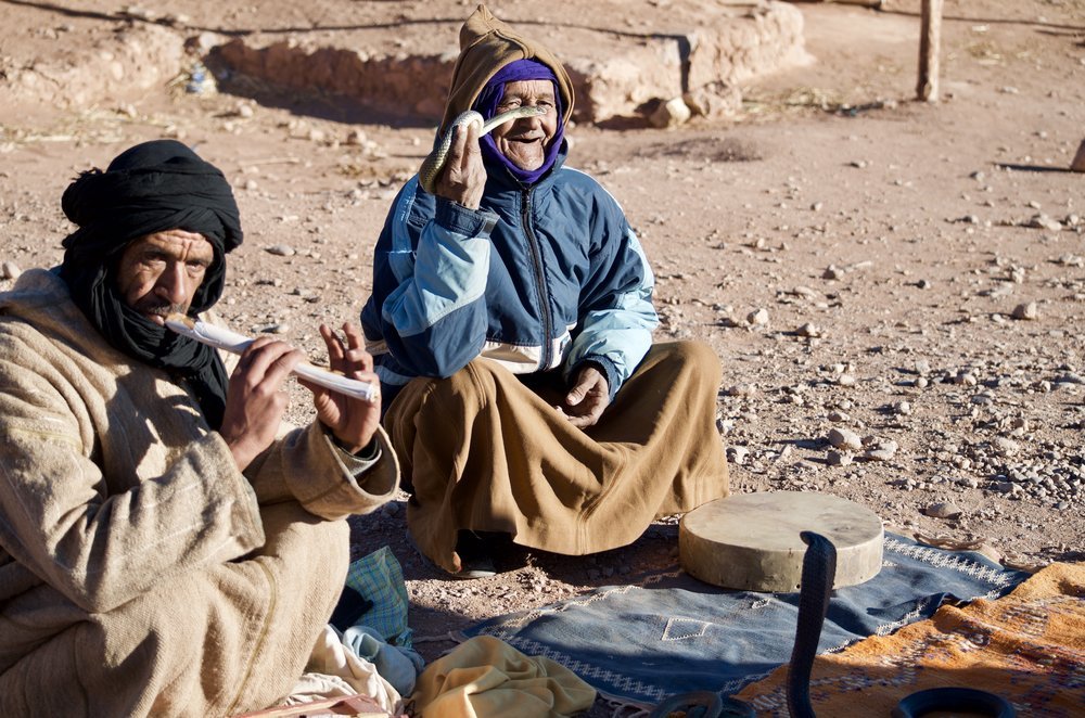 Snake charmers waving a pungi