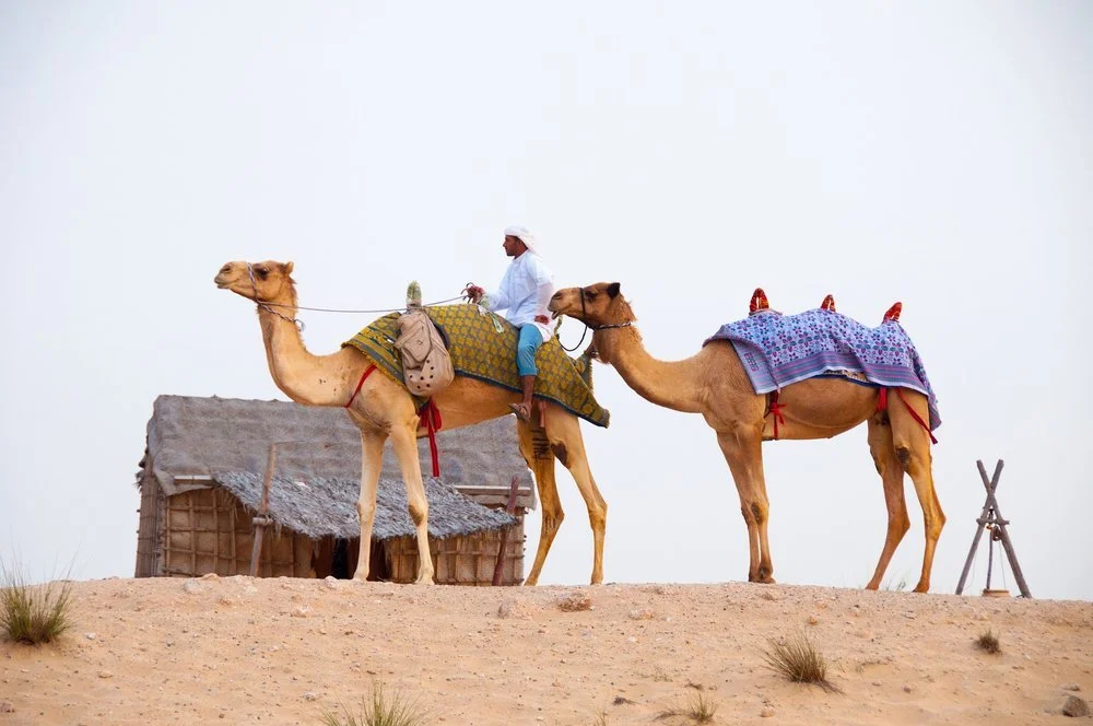 Desert safari