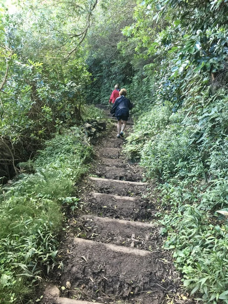 Trail (2.5 miles one way) down to Kalaupapa