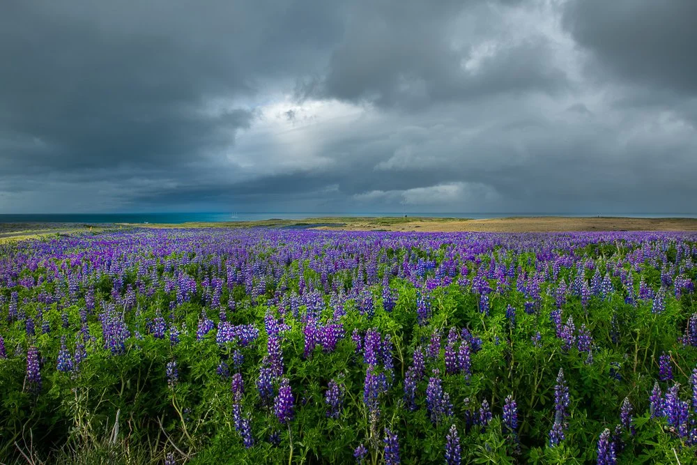Iceland in July