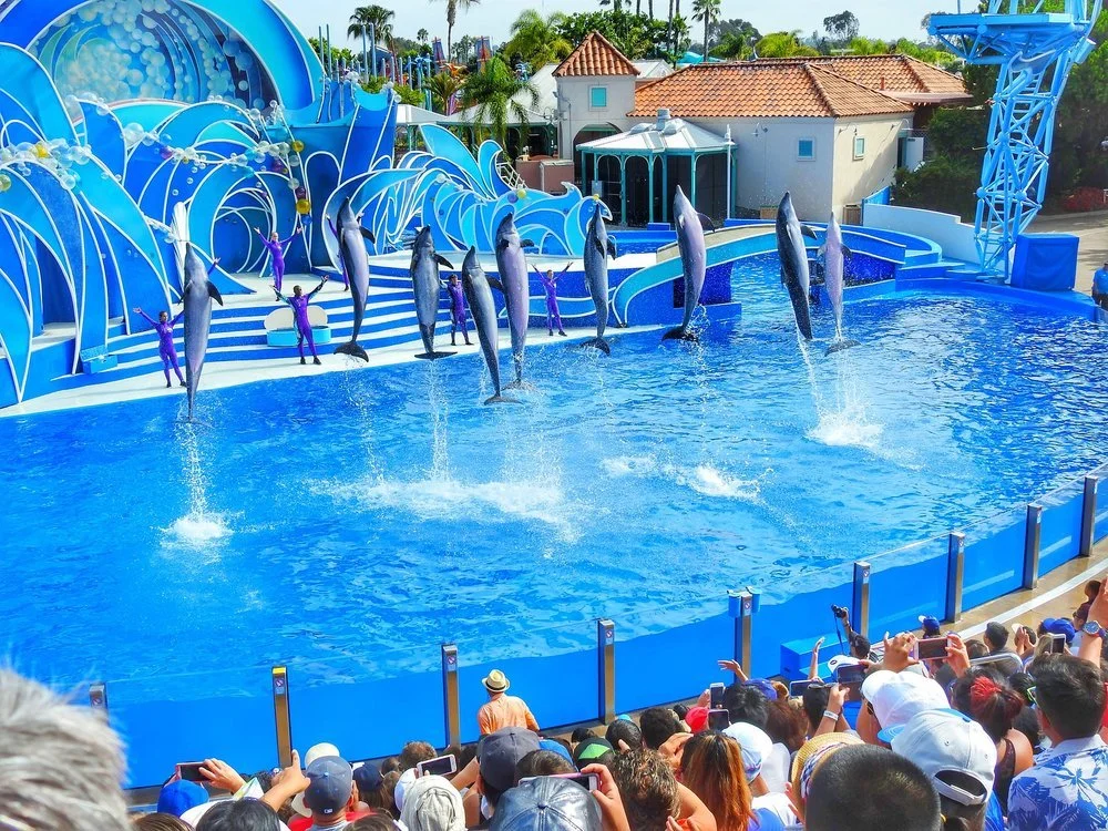 Sea World, San Diego