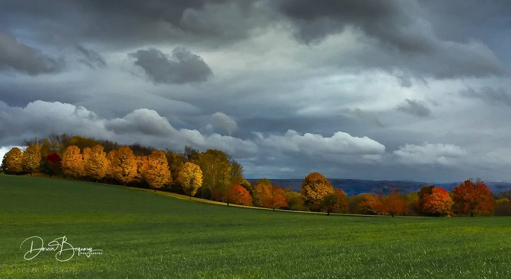 Autumn colors - October