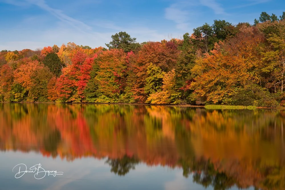 Autumn in full swing
