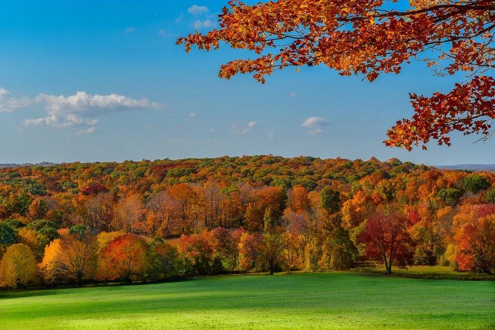 Beautiful autumn season