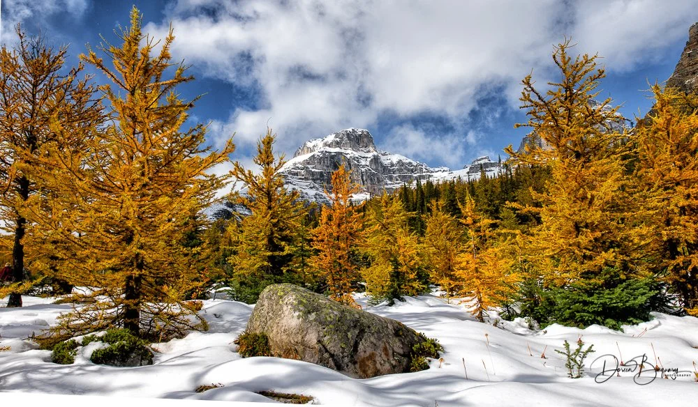 Larch Valley, hike above Moraine Lake, Late September