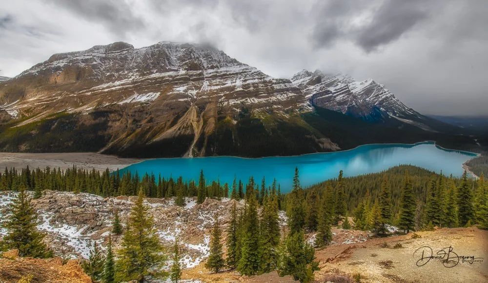 Peyto Lake, Lake Louise area