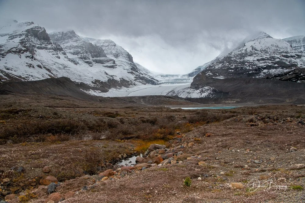 Athabasca Glacier, Columbia Icefield