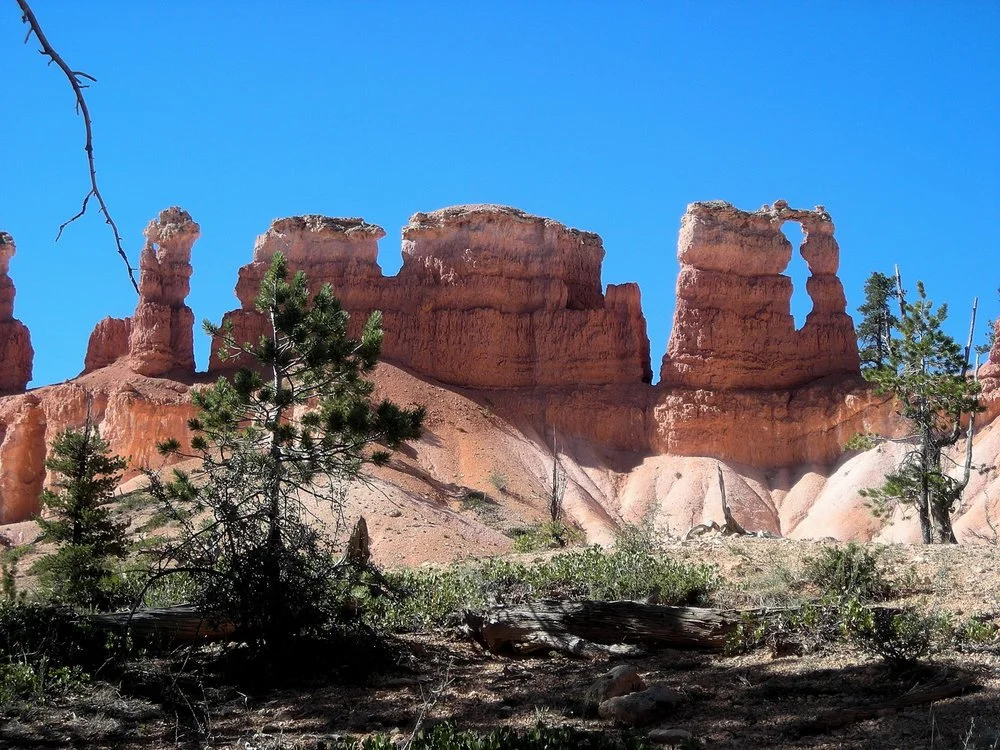 Bryce is famous for the largest collection of hoodoos