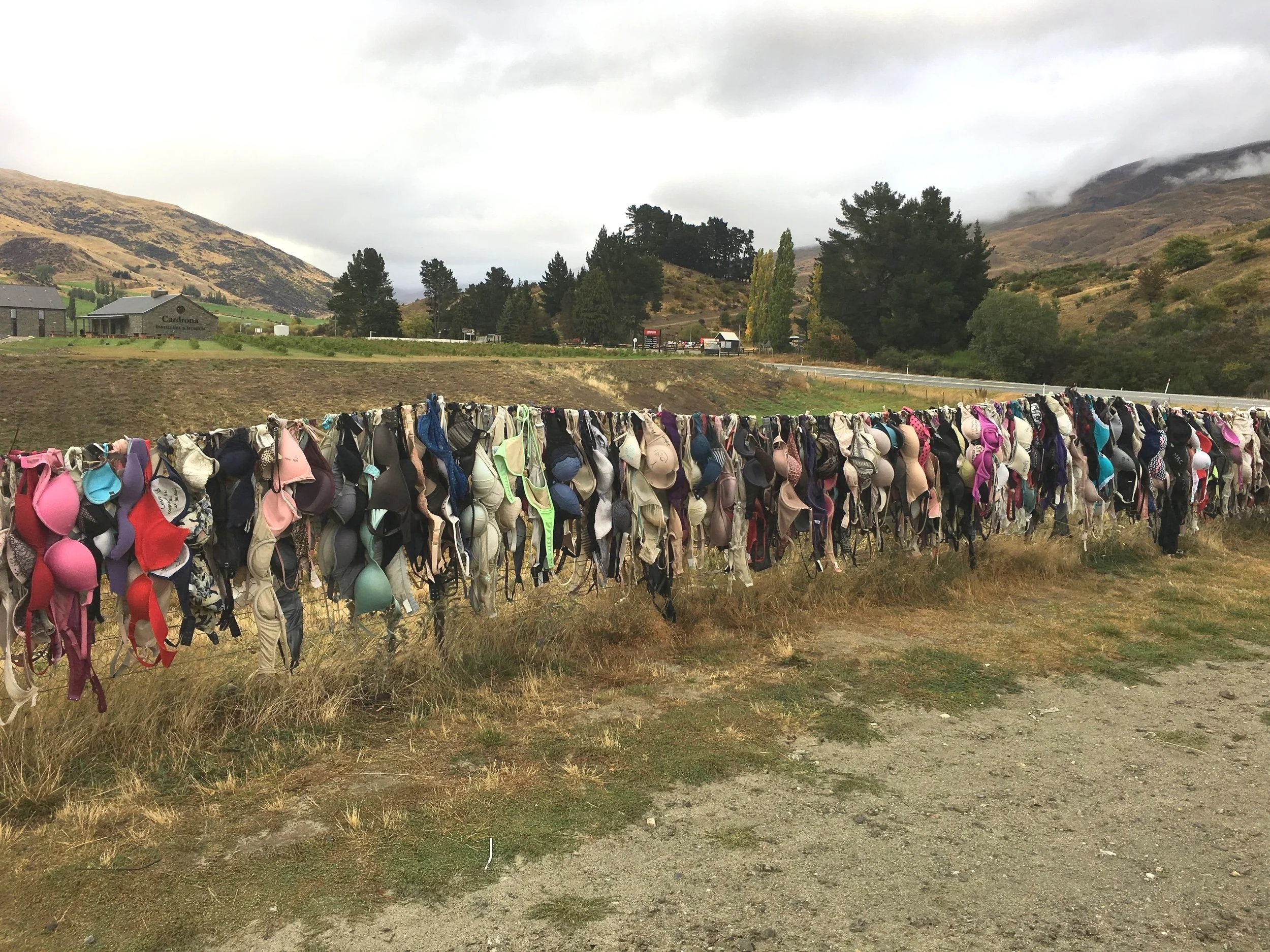 The Cardrona Bra Fence a symbol of breast cancer awareness and fundraising.