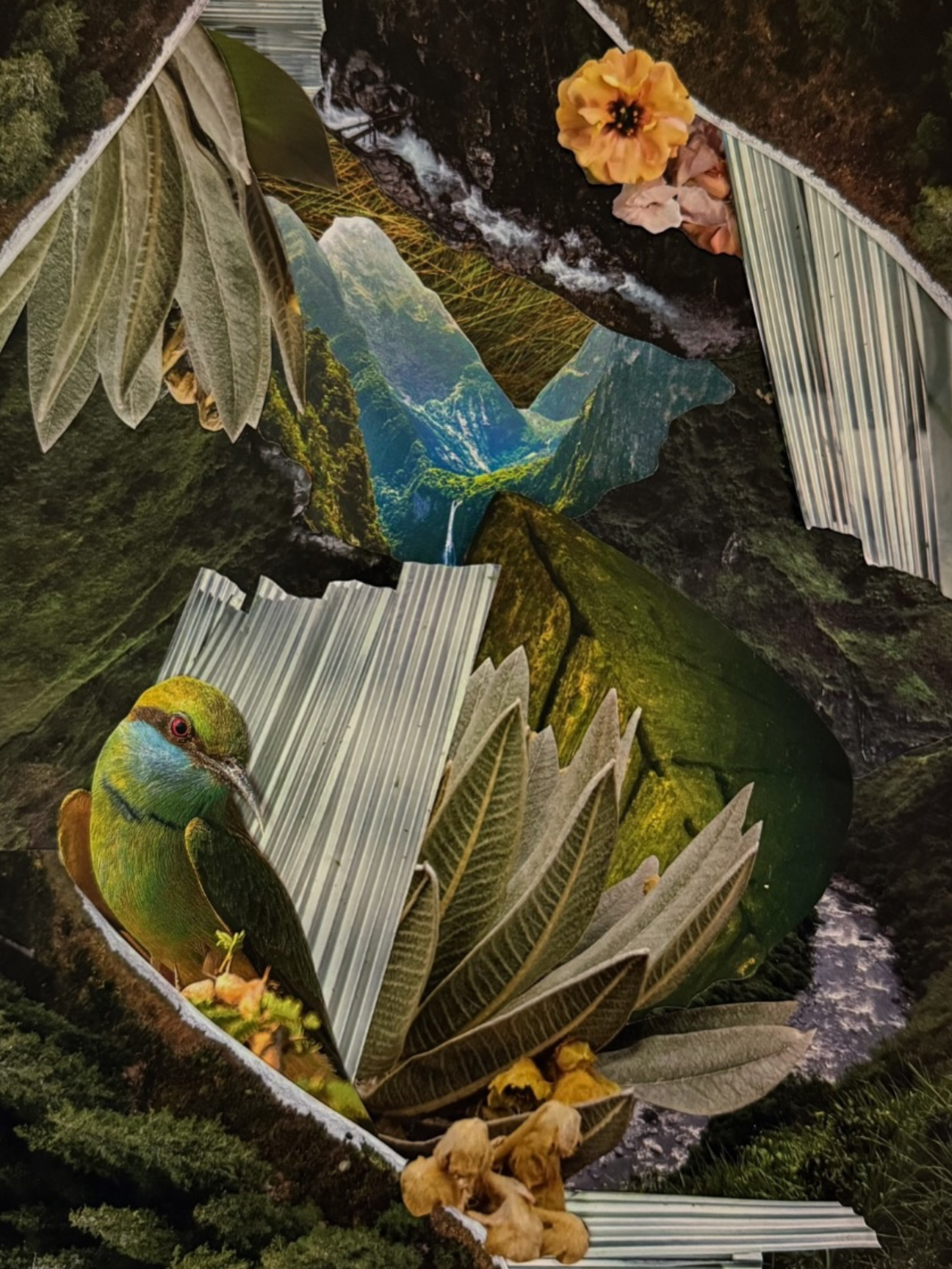 El Dorado