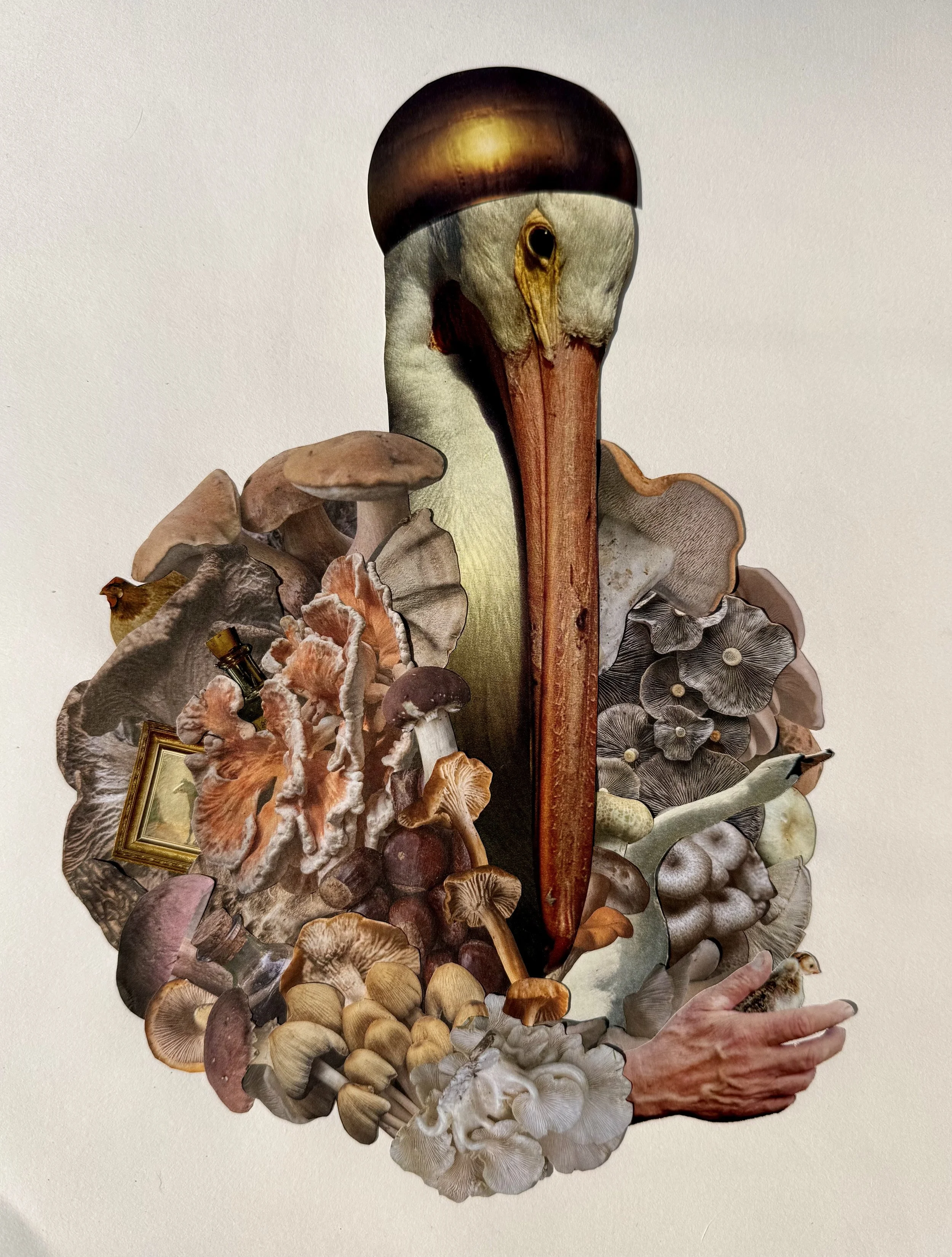 Birds vs Worms