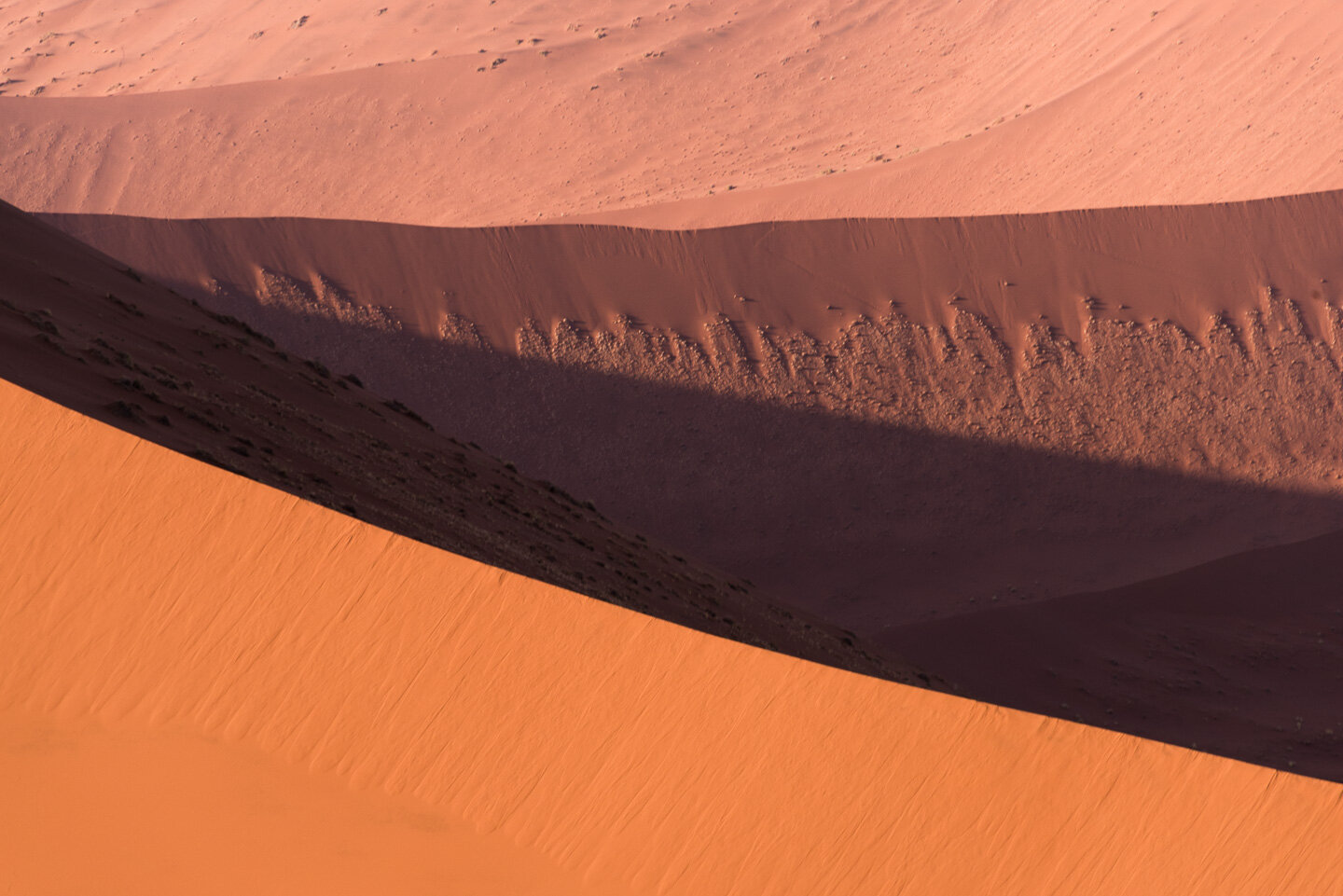 Dune Abstract.jpg