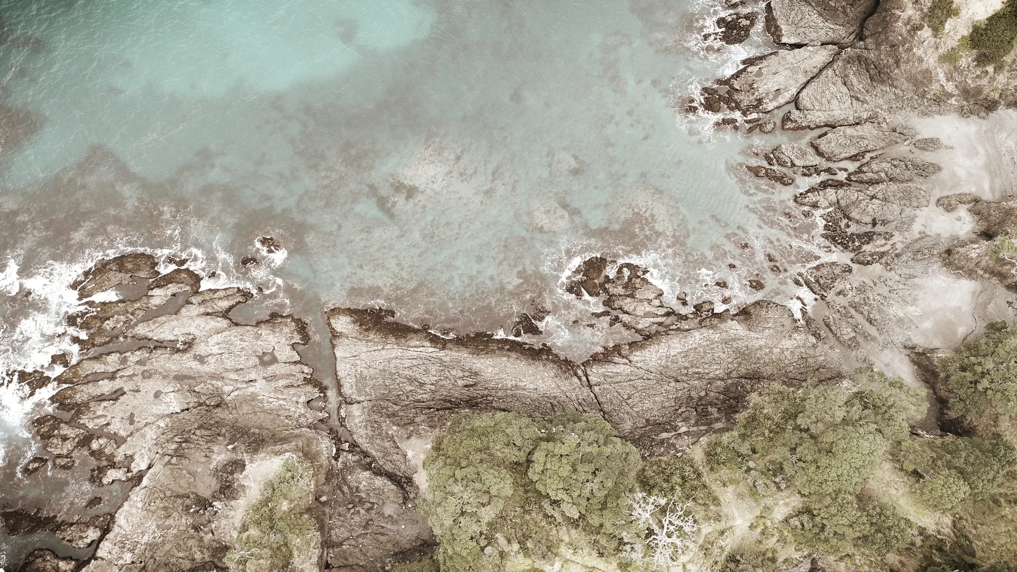 jurado 01 low res.jpg