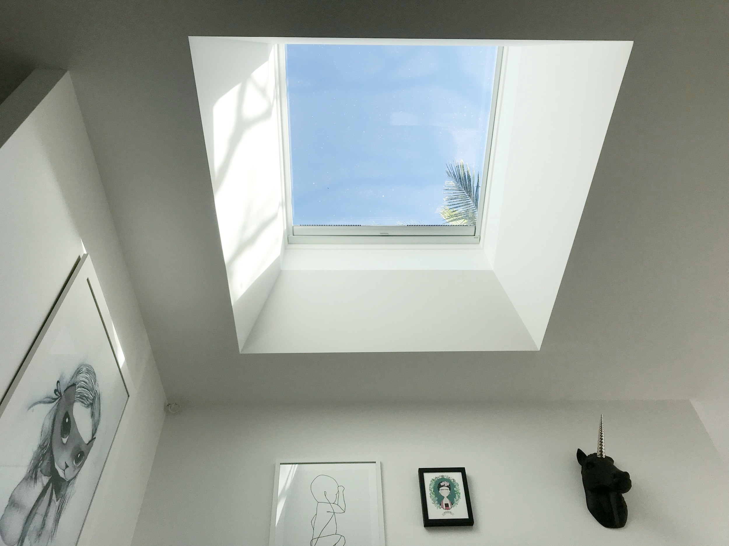 jurado skylight.JPG