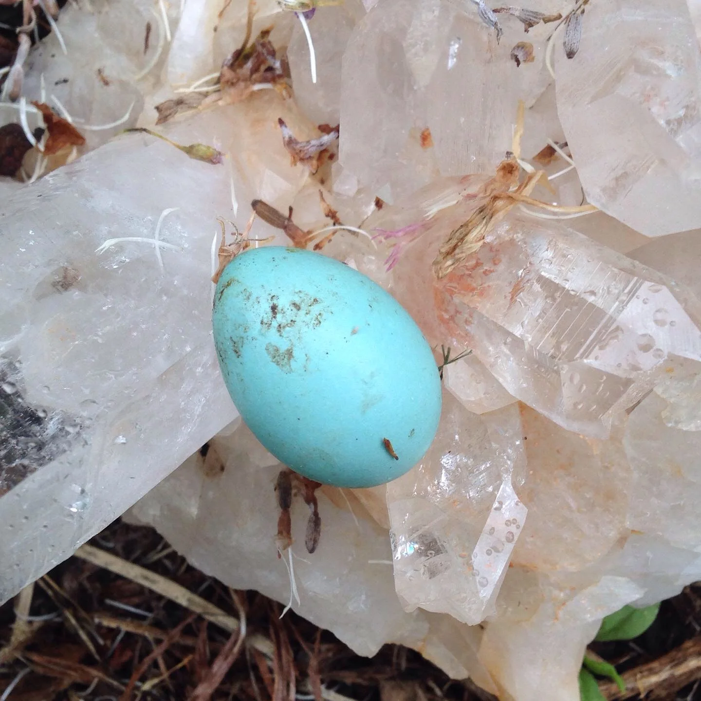 One that didn’t fly